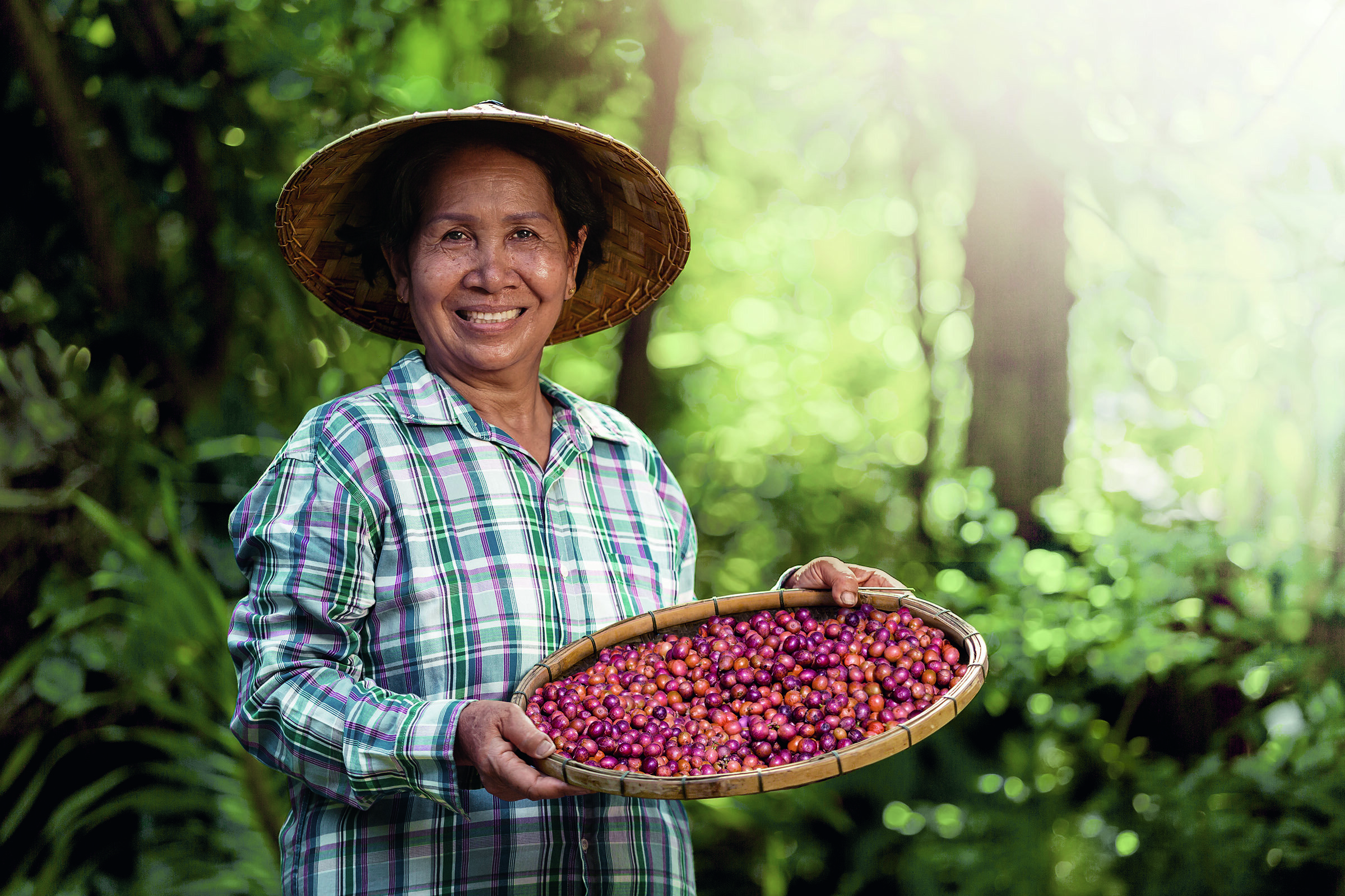 Cafissimo Grand Classé "Lut Tawar" aus Sumatra