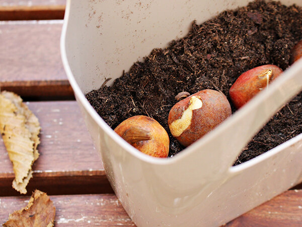 winterfester-garten-tchibo-6