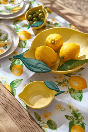 Link: Großansicht des Bildes