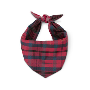 Link: Großansicht des Bildes