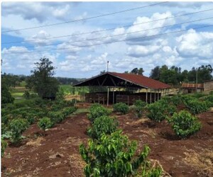 Link: Großansicht des Bildes