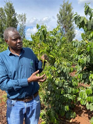 Link: Großansicht des Bildes