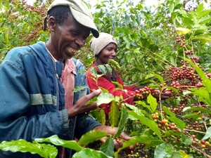 Link: Großansicht des Bildes