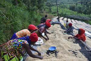 Link: Großansicht des Bildes