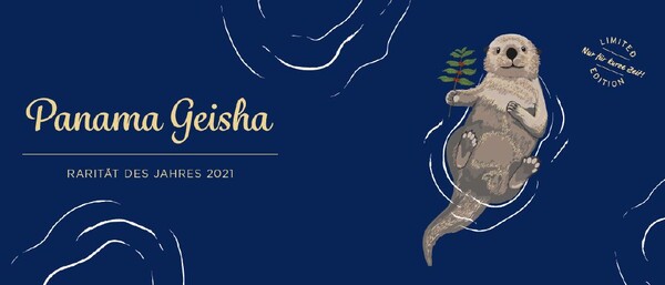 Illustration eines Otters mit Pflanze, Text Panama Geisha