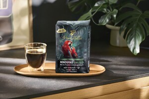 Link: Großansicht des Bildes
