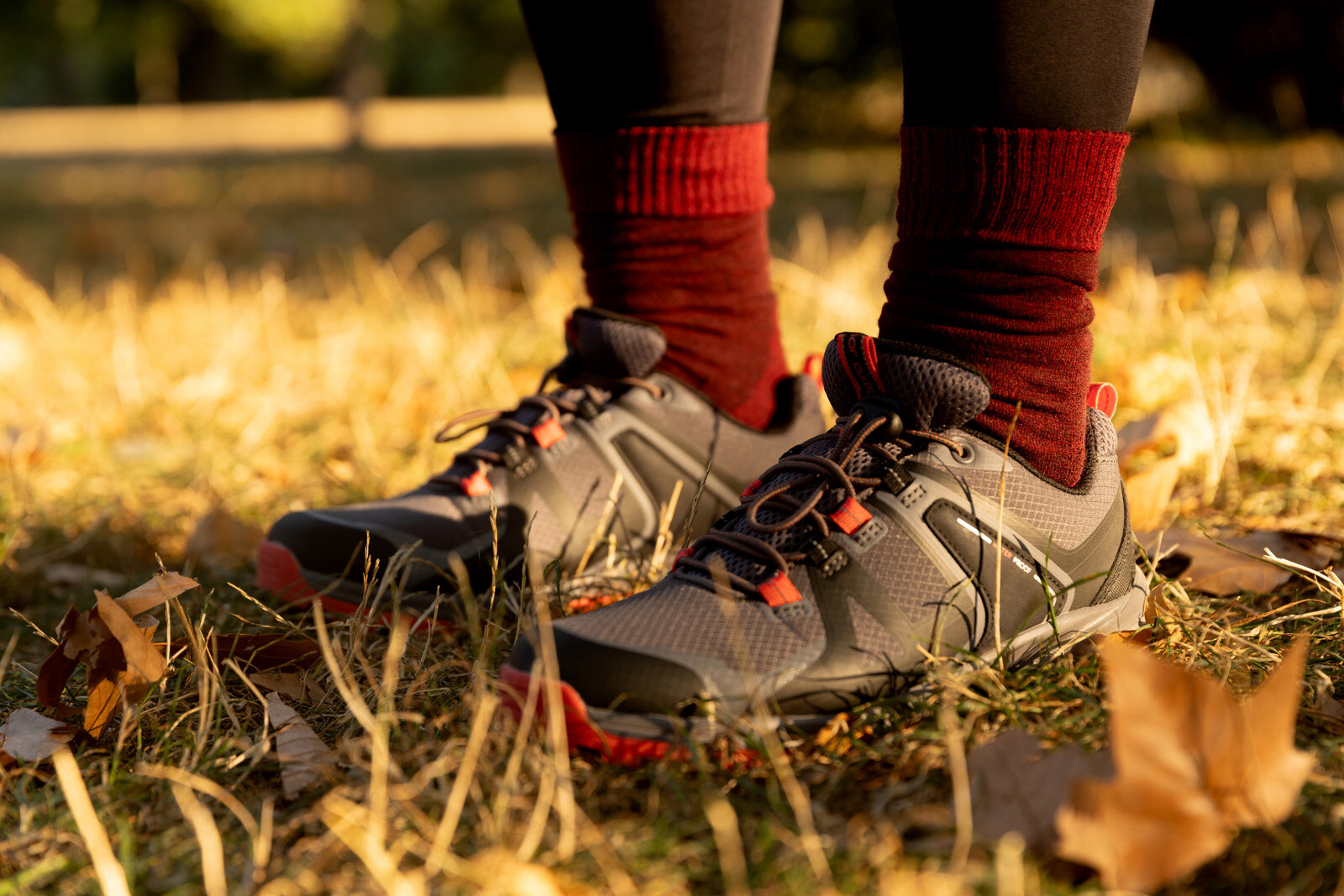 Wanderschuhe im herbstlichen Gras
