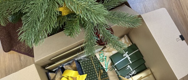 Offener Karton voller Geschenke unter Tannenbaum