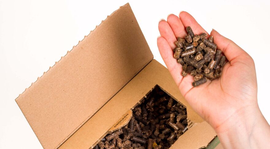 Hand hält Pellets über geöffneter Kartonschachtel