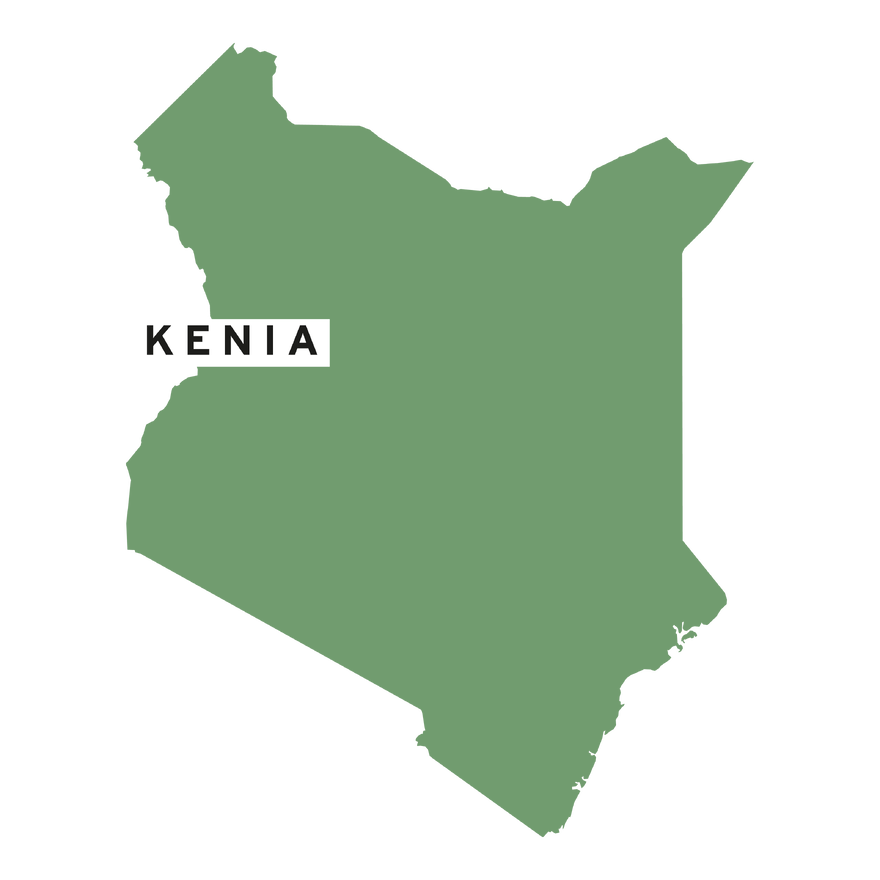 Grüne Umrisskarte von Kenia mit Beschriftung