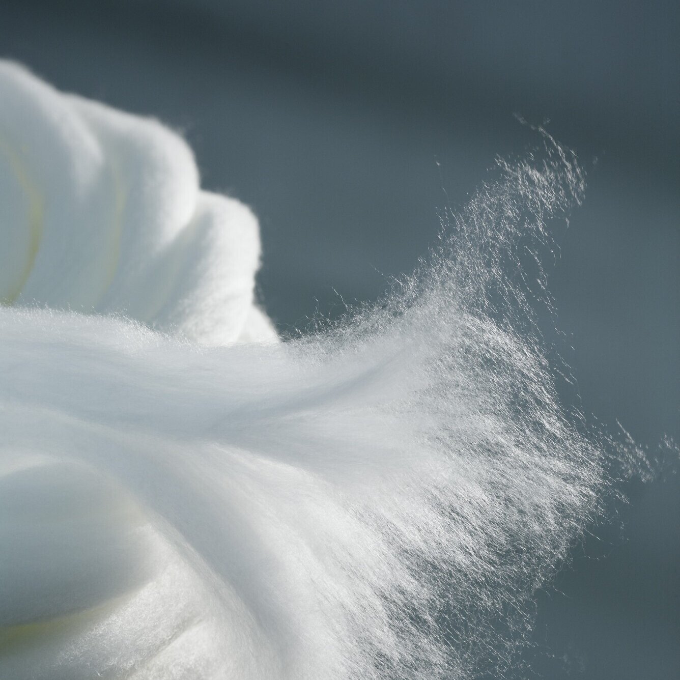 Foto des Materials zellulosebasierte Chemiefasern