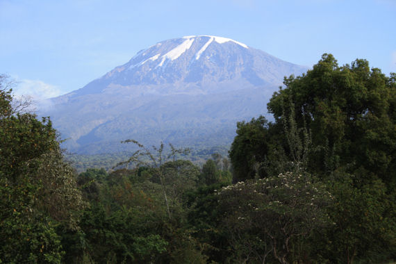 Sicht auf den Kilimandscharo