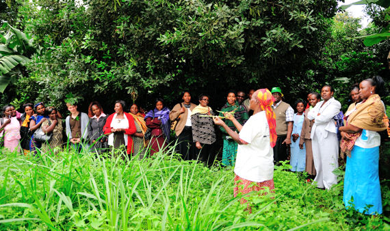 Während meiner Reise konnte ich gemeinsam mit den Frauengruppen auch viel Wissenswertes über nachhaltige Anbaumethoden lernen.