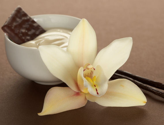 Vanille - die vielseitige Schote verfeinert jedes Dessert