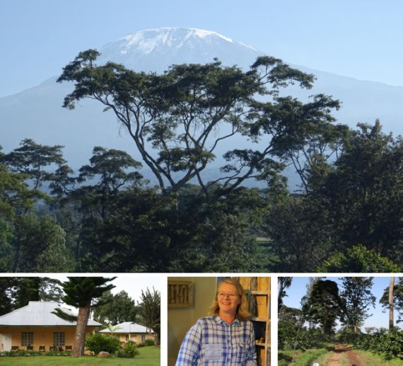 Blick auf den Kilimandscharo von Bentes Farm aus / Unterkunft / Gastgeberin Bente / Fahrt durch die Kaffeefelder