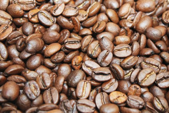Ideal ist die Lagerung des Kaffees in ganzer Bohne. Die natürliche Hülle ist der beste Aromaschutz für die wertvollen aromatischen Geschmacksstoffe der Bohne.