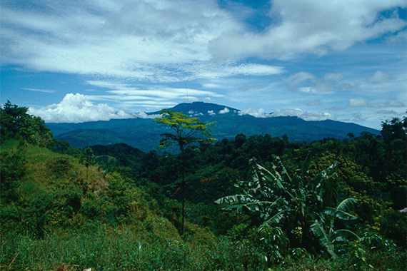 Die Höhenlagen sowie die fruchtbaren Böden in Costa Rica stellen beste Bedingungen für den Kaffeeanbau dar.