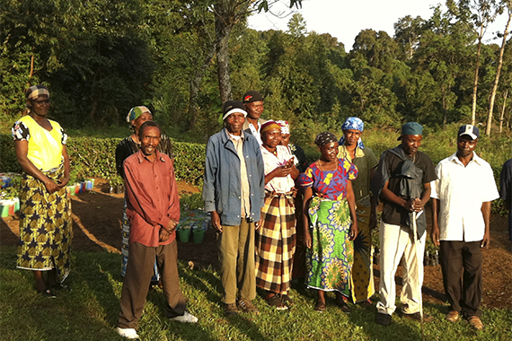 Die Kaffeefarmer in Tansania haben es geschafft, ihren Kaffeeanbau schrittweise umzustellen.