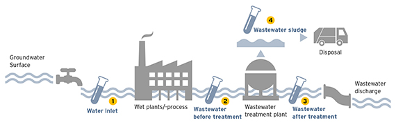 Water cycle of a wet plant, as well as possible measuring points for sewage and sludge tests.