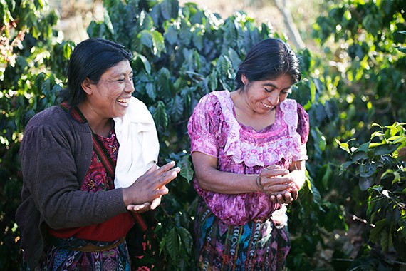 Die Frauen konnten die Ernte und die Kaffeequalität erheblich verbessern.