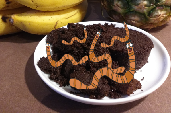 Kaffeesatz im Kompost Ist da der Wurm drin? Tchibo