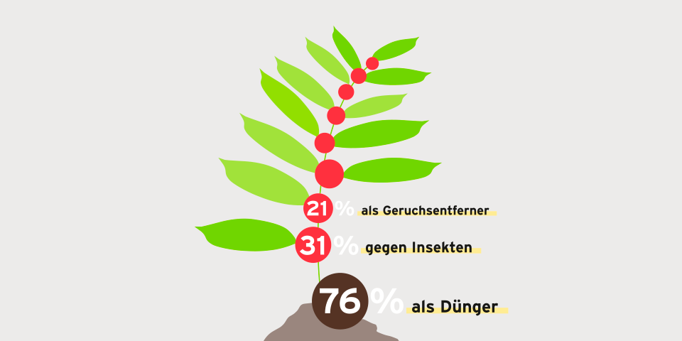 Auf diesem Bild ist eine sprießende Kaffeepflanze zu sehen. Am unteren Bildrand sprießt die Pflanze aus einem Erdhpügel. Dort ist ein brauner Kreis in dem 76% steht. Daneben ist "als Dünger" geschrieben. Direkt darüber ist eine Kaffeekirsche zu sehen. In ihr steht 31% und daneben die Worte "gegen Insekten". Eine Kaffeekirsche darüber steht die Zahl 21% mit den Worten "als Geruchsentferner". Darüber sind weitere Kaffeekirschen und Blätter zu sehen in denen nichts steht.
