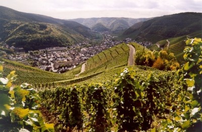 Wandern im Ahrtal_3