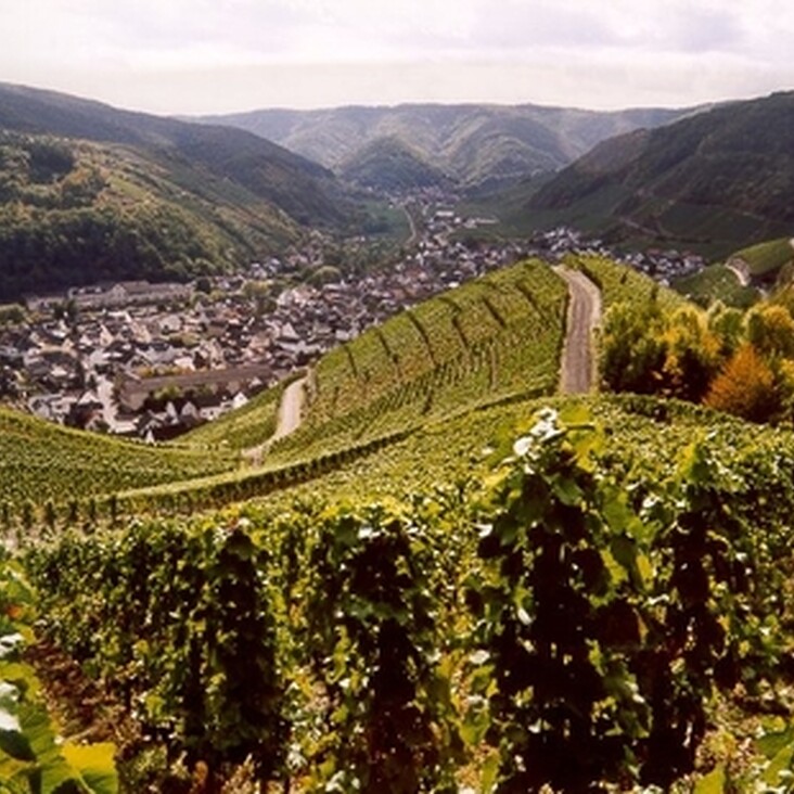 Wandern im Ahrtal_3