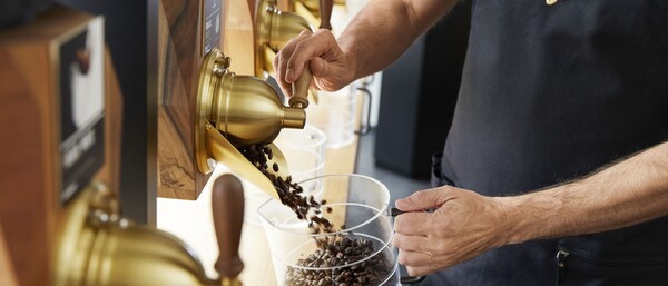 Barista füllt Kaffeebohnen aus goldener Mühle
