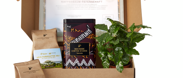 Geschenkbox mit Kaffee, Pflanze und Zertifikat