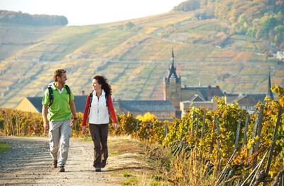 Wandern im Ahrtal_2