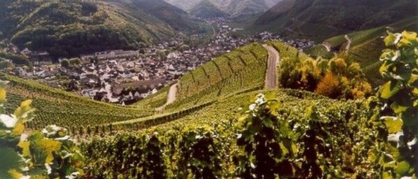 Wandern im Ahrtal_3