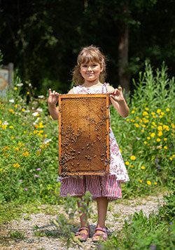 Kind hält Bienenwabe im sommerlichen Garten