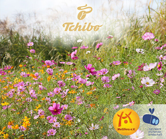 Bunte Sommerblumenwiese mit Tchibo-Logo