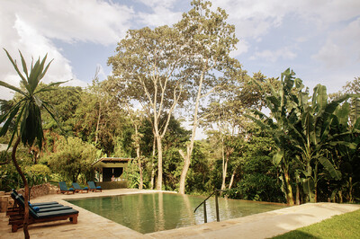 Pool mit Liegen vor dichtem tropischem Wald