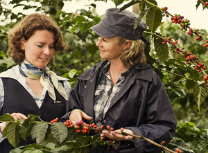 Dreharbeiten für den neuen Tchibo Werbespot: Bente Luther-Medoch erklärt Filialdame Nicole Margraf die Arabica Pflanze.