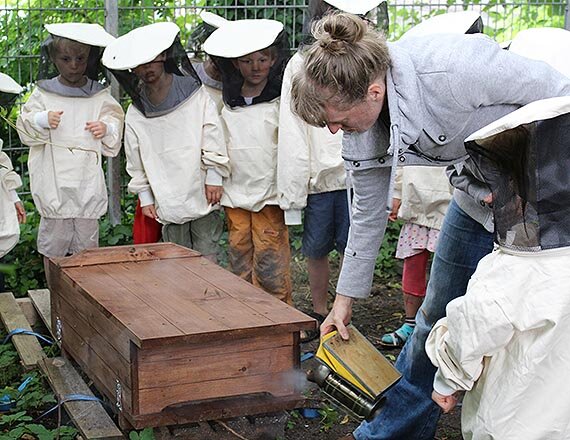 Und hier lebt also das Bienenvolk