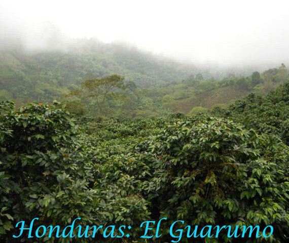 Honduras