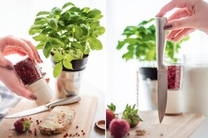 Anne vom Blog Chèvre Culinaire ist ganz verliebt in unsere Tchibo Messer.