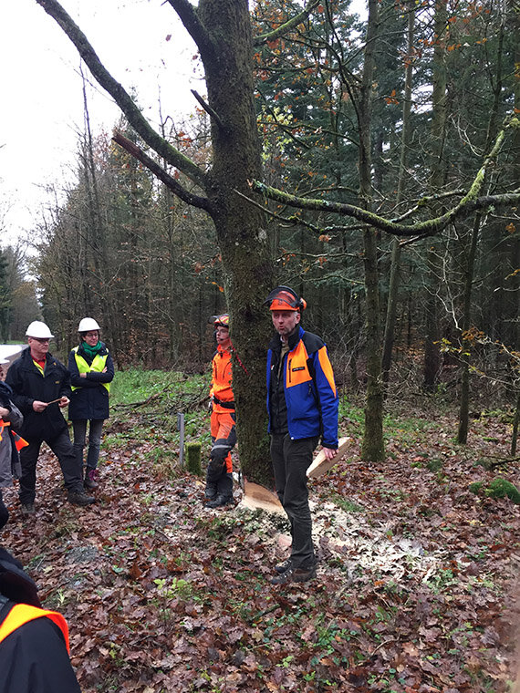 Wald-Experte Jens-Birger Bosse von den Landesforsten kennt sein Gebiet wie kein anderer