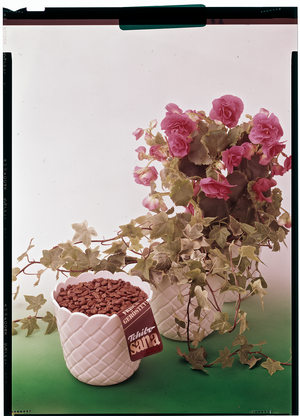 03-03-81_01.tif_praesentationsbild-png