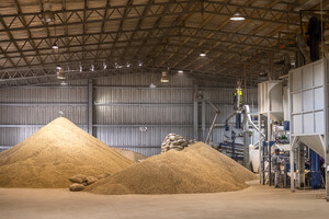 Link: Großansicht des Bildes