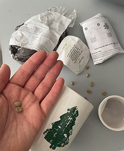 Hand mit Samen und Pflanzset auf Tisch