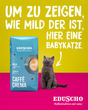 Link: Großansicht des Bildes - Bildinhalt: Kaffeepackung Eduscho neben grauer Babykatze