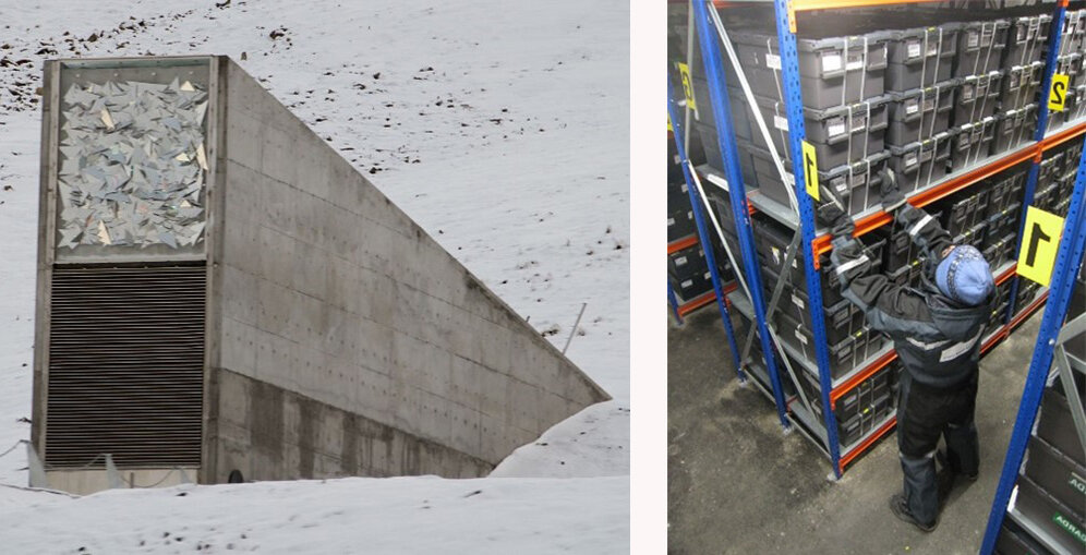 Samenbank-Tunnel im Schnee und Arbeiter im Lager