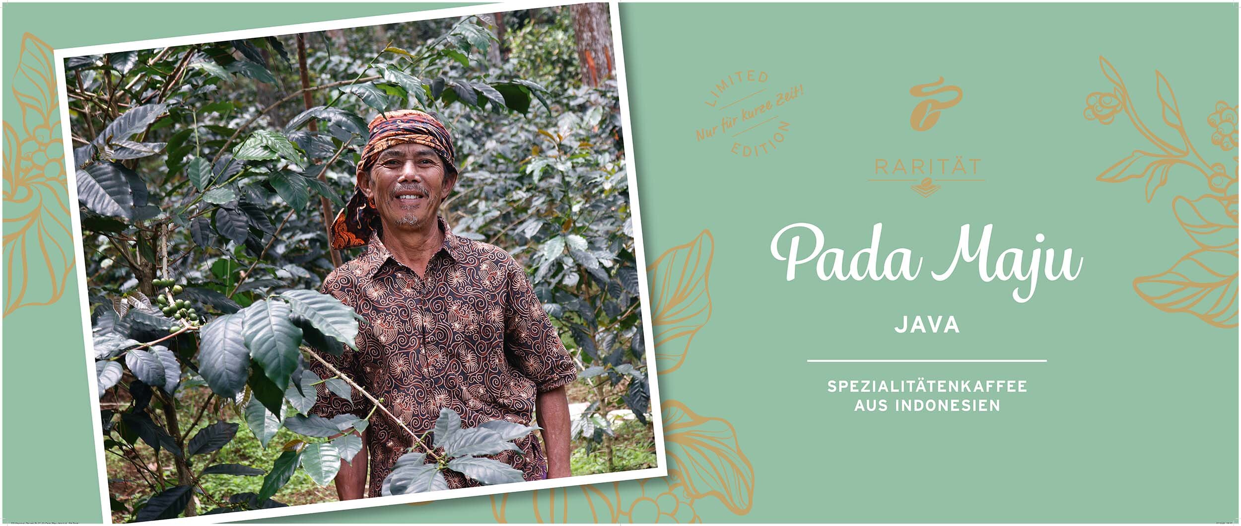 Kaffeebauer in Plantage, Text: Pada Maju Java