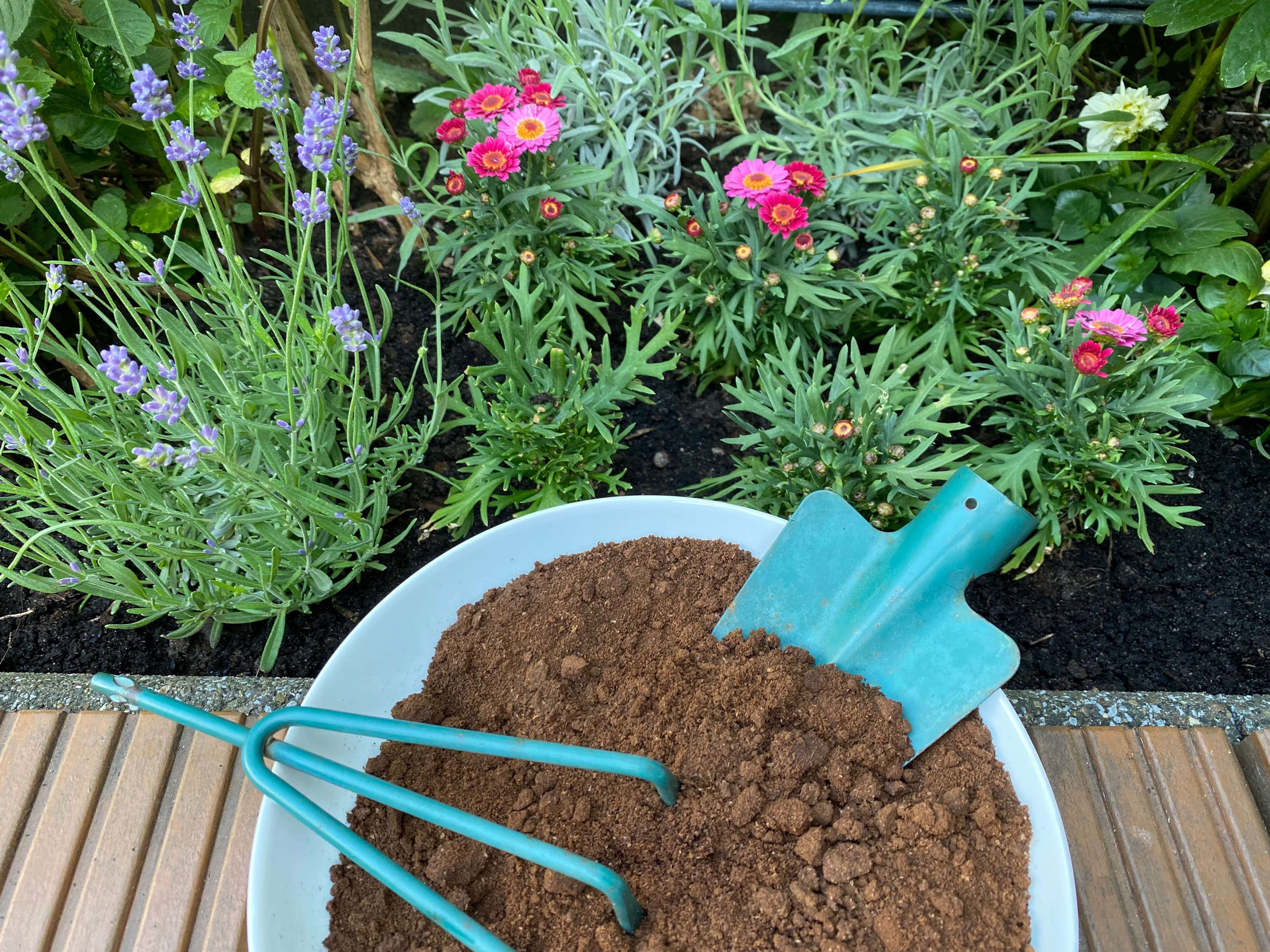 Schüssel mit Erde, Gartengeräte und Blumenbeet