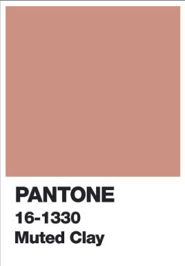 Link: Großansicht des Bildes - Bildinhalt: Pantone-Farbkarte in gedämpftem Ton Erde