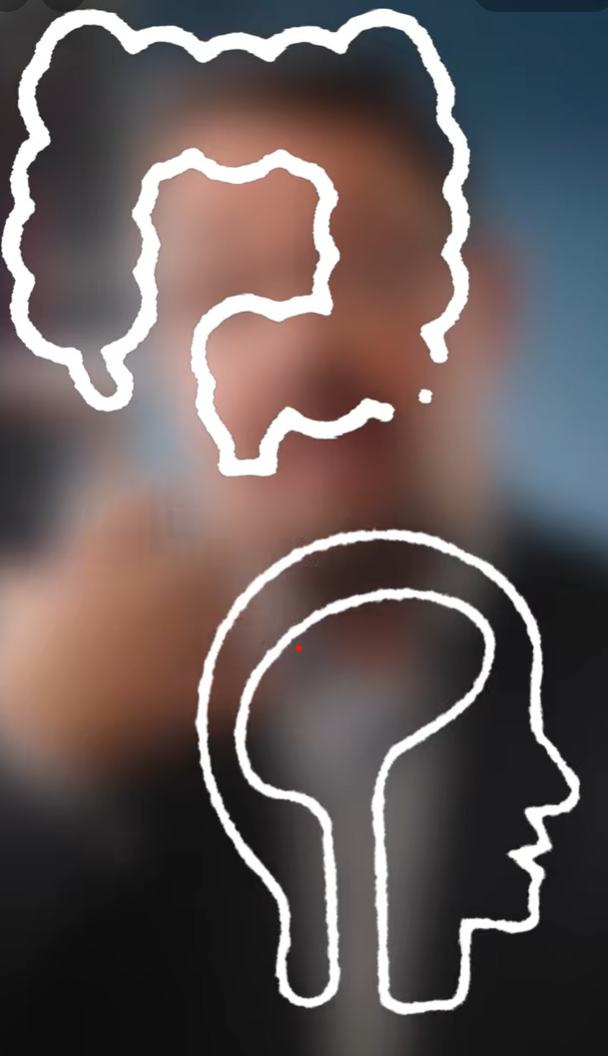 Weiße Zeichnung von Darm und Kopfprofil