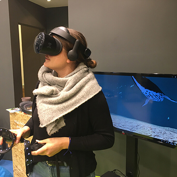 Person mit VR-Brille und Controllern vor Monitor